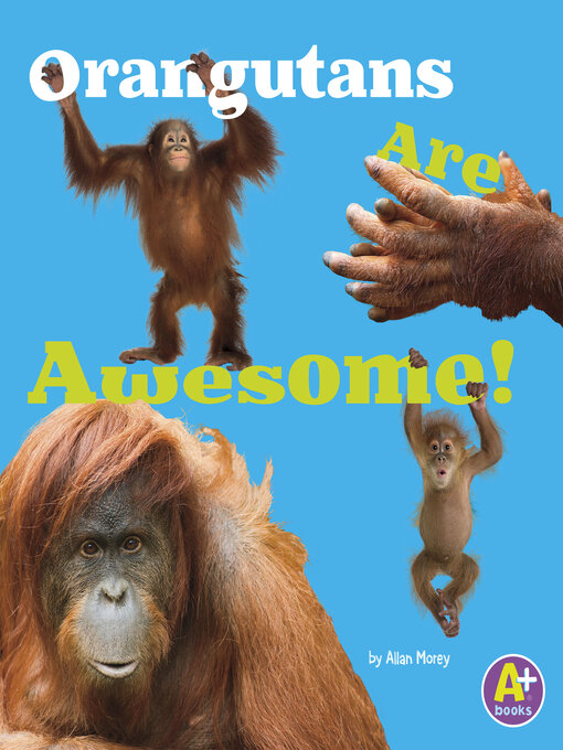 Title details for Orangutans Are Awesome! by Allan Morey - Wait list